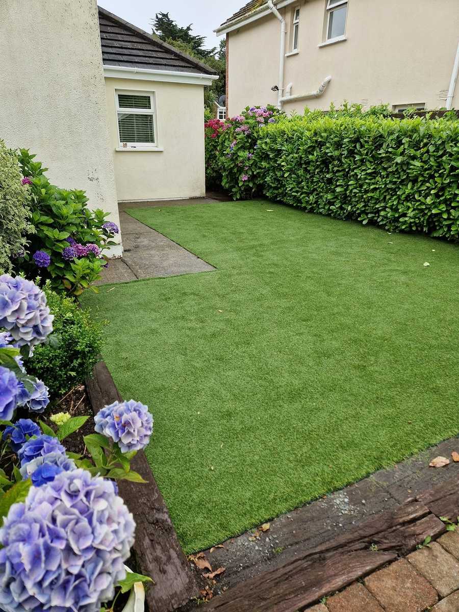 Artificial lawn with blue hydrangeas in the border beside the house