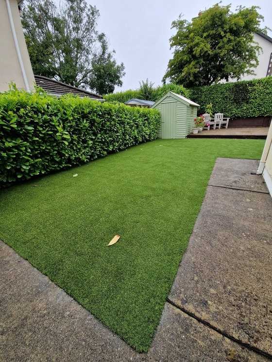 Artificial lawn along a tall green hedge with a garden shed at the end
